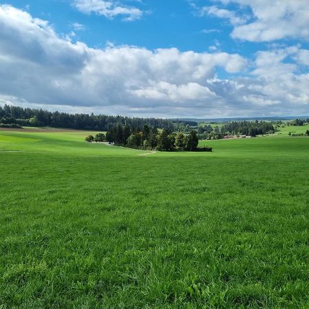 Modern Eingerichtete 3-Zi-Ferienwohnung Zu Vermieten Loffingen Bagian luar foto